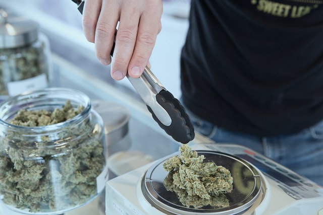 weighing weed in a scale for sale in canada