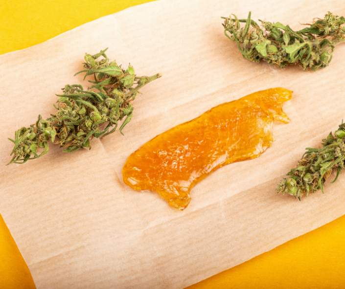 weed buds and shatter laying in a yellow background